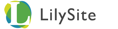 LilySale Outlet